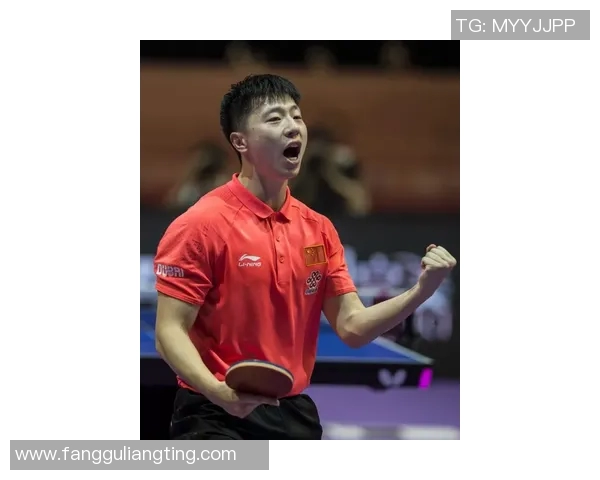 杭州乒乓球队边路渗透战术解析与热点动态解读 杭州乒乓球队边路渗透战术解析与热点动态解读