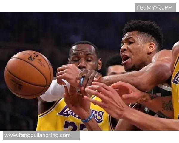 南京篮球队实力引发热议球迷对球队表现展开激烈讨论