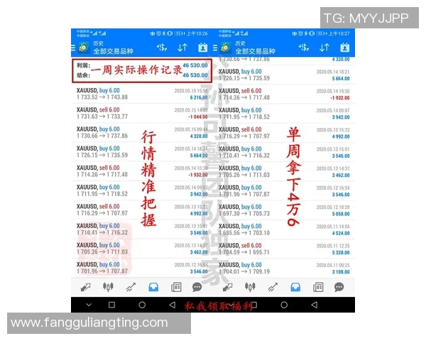 成都排球队防守策略解析与排球热点动态深度剖析 成都排球队防守策略解析与排球热点动态深度剖析