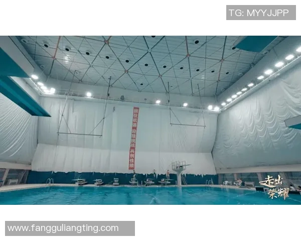 英超排球纪实记录北京排球队奋勇拼搏的荣耀与挑战之路