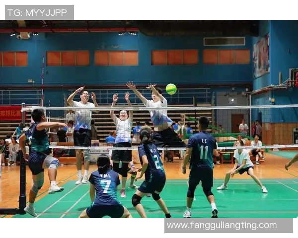 广州排球队逆袭之旅的奋斗与荣耀全记录