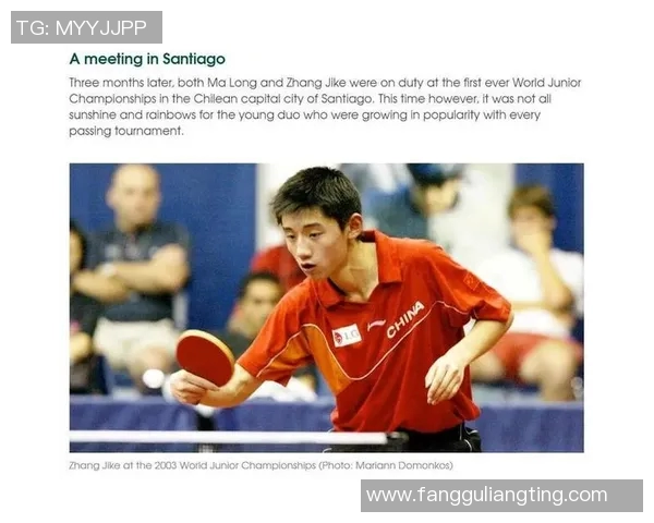 武汉乒乓球队战术创新引领潮流最新乒乓球战术TOP10全解析实时数据