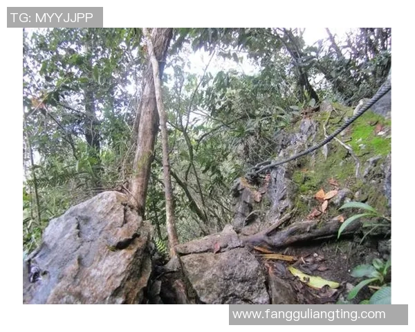 西安攀岩队转型之路探秘：从传统到现代的攀岩竞技新篇章实时数据