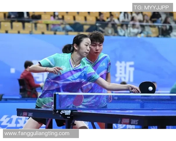 运动数据乒乓球比赛经验排行榜揭晓上海乒乓球队荣获第二名佳绩