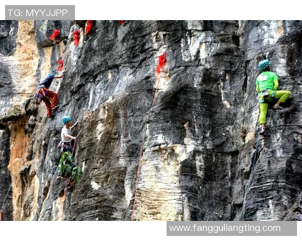运动数据攀岩之巅深入杭州攀岩队的训练与技术揭秘 运动数据攀岩之巅深入杭州攀岩队的训练与技术揭秘
